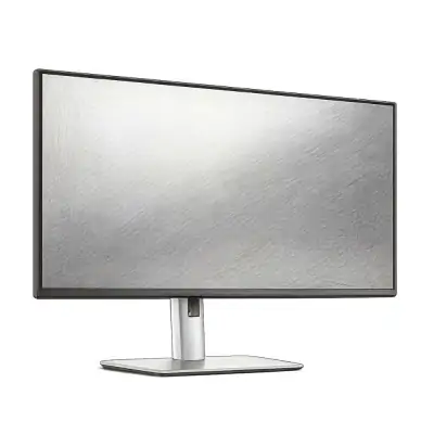Dell Pro 24 Plus QHD Monitor - P2425D