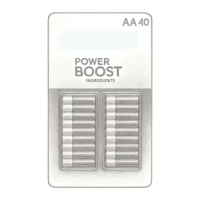 Duracell Coppertop Alkaline AA Batteries (Pack of 40)
