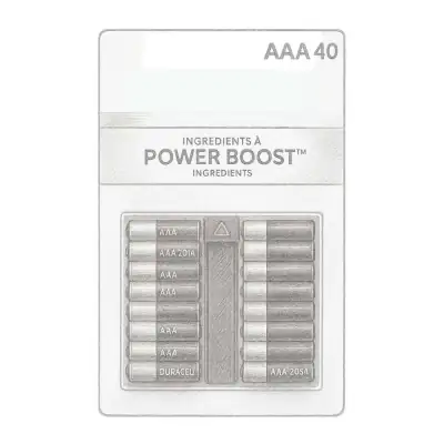 Duracell Coppertop Alkaline AAA Batteries (Pack of 40)