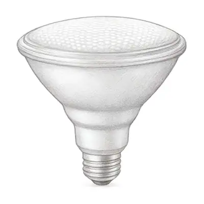 Feit Electric 90 Watt Color Changing and Tunable White LED Smart Light Bulb