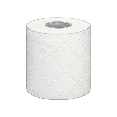 Kirkland Signature Bath Tissue - 2 Ply (Pack of 30)