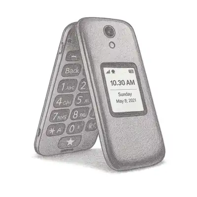 Lively jitterbug flip2