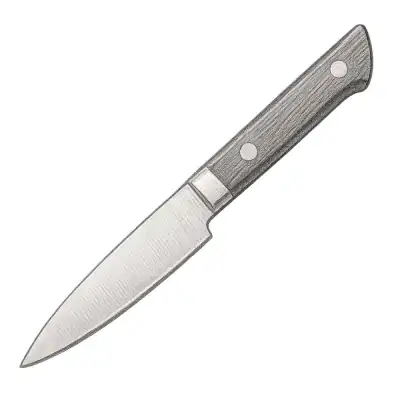 MAC Knife Professional Series 3 1/4" Paring Knife