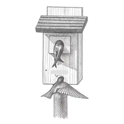 Nature's Way Bluebird Box House w/ Viewing Window
