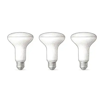 Philips Hue White and Color Ambiance BR30 - E26 Smart Bulb (3 Count)